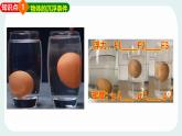 10.4 沉與浮 物理 課件 2024-2025學(xué)年教科版物理八年級下學(xué)期