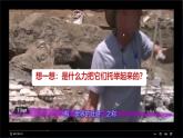 10.2 認識浮力 課件 2024-2025學(xué)年教科版物理八年級下學(xué)期
