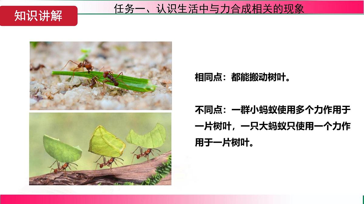 7.2 力的合成-2024-2025学年沪科版物理八年级下学期课件第6页