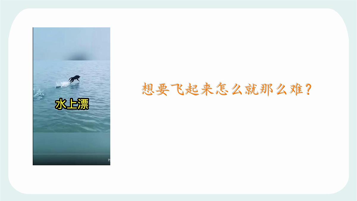 7.4 重力 课件 2024-2025学年教科版物理八年级下学期第2页