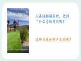 7.3 彈力 彈簧測力計(jì) 課件 2024-2025學(xué)年教科版物理八年級下學(xué)期