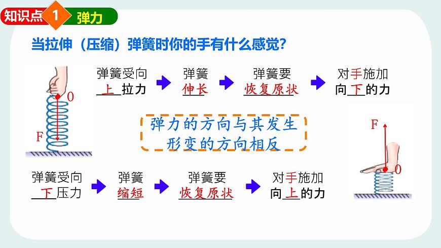 7.3 弹力 弹簧测力计 课件 2024-2025学年教科版物理八年级下学期第7页
