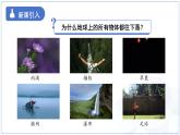 7.2《重力 力的示意圖》課件 物理蘇科版（2024）八年級下冊