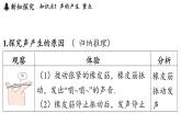 第三章 第一節(jié) 認(rèn)識聲現(xiàn)象-八年級上學(xué)期物理同步課件（教科版2024）