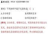 第四章 第一節(jié) 光的傳播-八年級(jí)上學(xué)期物理同步課件（教科版2024）