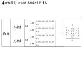 第四章 第二節(jié) 光的反射定律-八年級(jí)上學(xué)期物理同步課件（教科版2024）