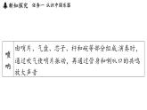 第三章 第五節(jié) 跨學(xué)科實踐_中國樂器-八年級上學(xué)期物理同步課件（教科版2024）