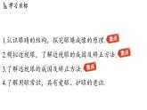 第四章 第六節(jié) 跨學科實踐_眼睛-八年級上學期物理同步課件（教科版2024）