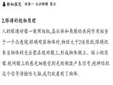 第四章 第六節(jié) 跨學科實踐_眼睛-八年級上學期物理同步課件（教科版2024）