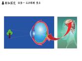 第四章 第六節(jié) 跨學科實踐_眼睛-八年級上學期物理同步課件（教科版2024）
