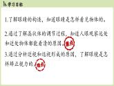 5.4眼睛和眼鏡-八年級上學(xué)期物理同步課件（人教版2024）