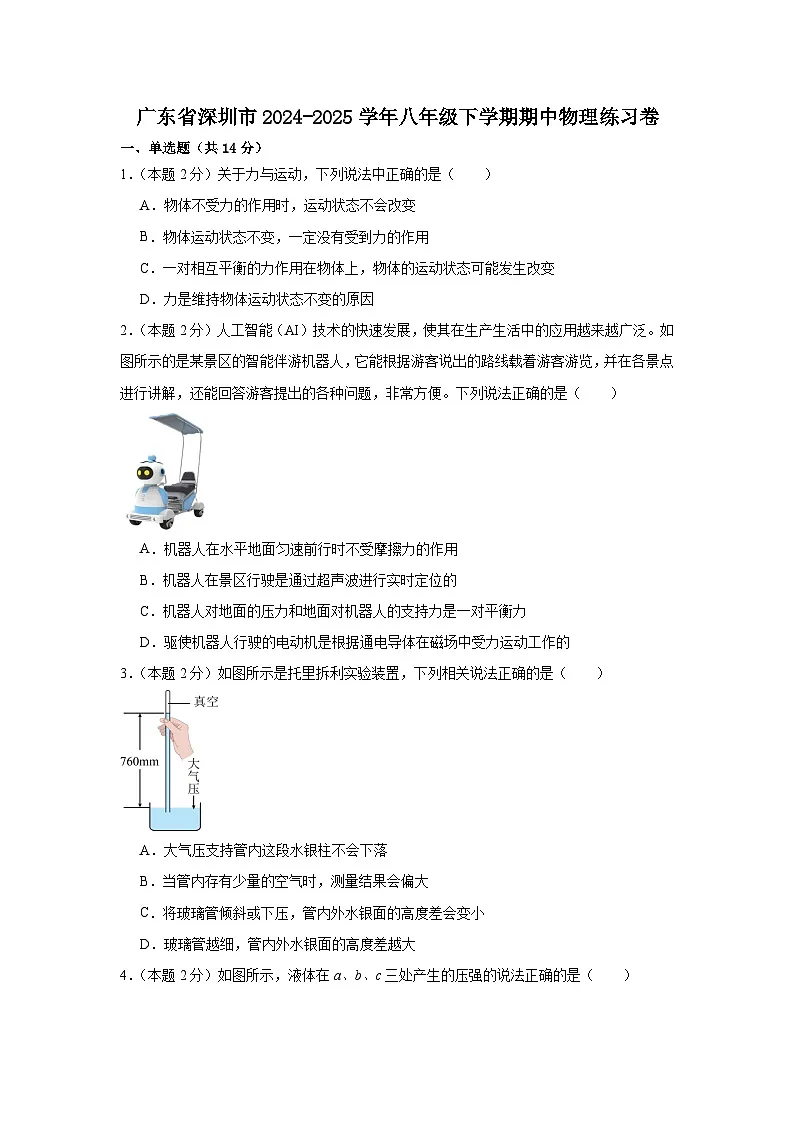 广东省深圳市2024-2025学年八年级下学期期中物理练习卷第1页
