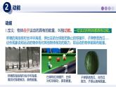 12.1動(dòng)能與勢能（課件） 2025學(xué)年八年級物理下冊同步精品課堂（教科版2024）