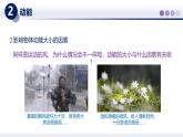 12.1動(dòng)能與勢能（課件） 2025學(xué)年八年級物理下冊同步精品課堂（教科版2024）