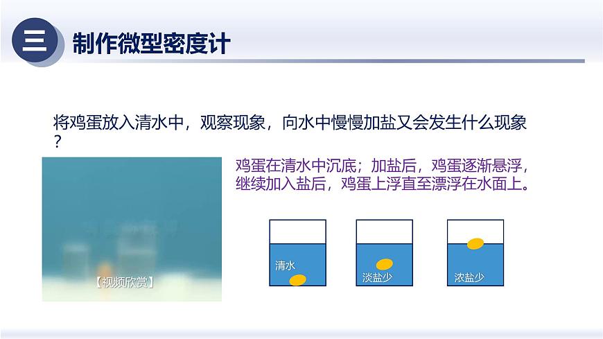 人教版2024八年级物理下册10.4跨学科实践—制作微型密度计（课件）第4页
