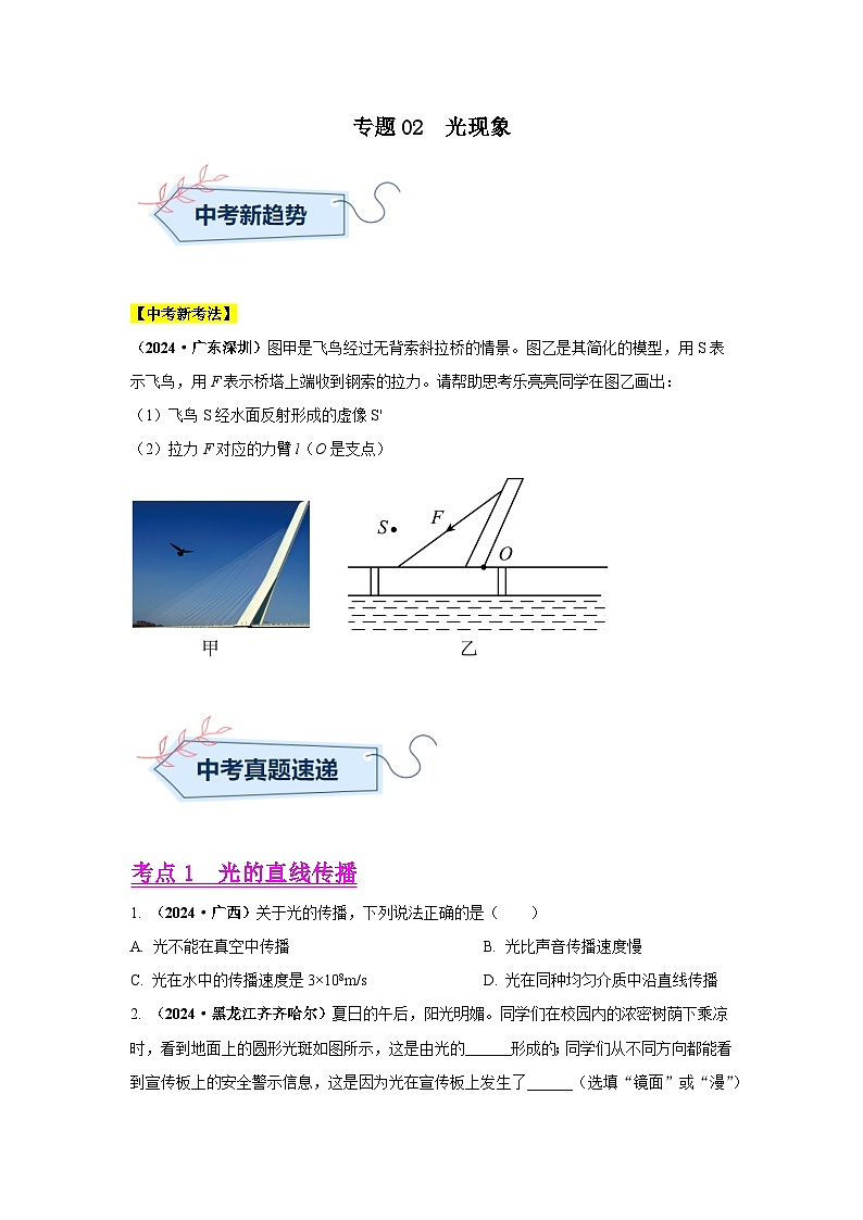 备战2025年中考物理真题分类汇编（全国通用）专题02光现象（第02期）（学生版）第1页