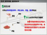 人教版2024八年級(jí)下冊(cè)物理03.第2節(jié)  跨學(xué)科實(shí)踐：制作簡(jiǎn)易桿秤 課件