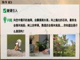 人教版2024八年級下冊物理03.第3節(jié)  重力-471c6acd6359 課件