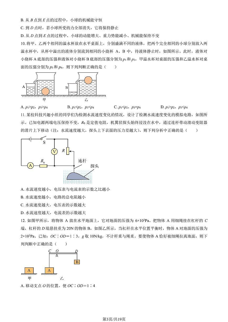 2025北京北师大附中初三（下）统练月考七物理（教师版）第3页
