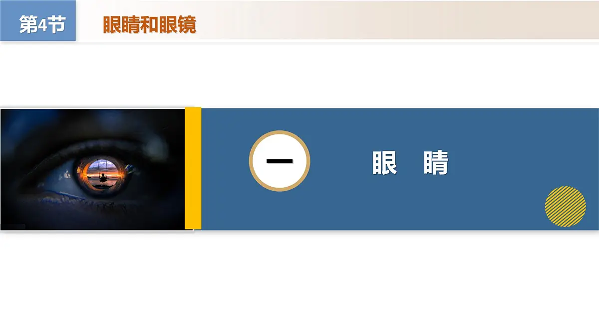 人教版2024八年级上册物理5.4 眼睛和眼镜（教学课件）第5页