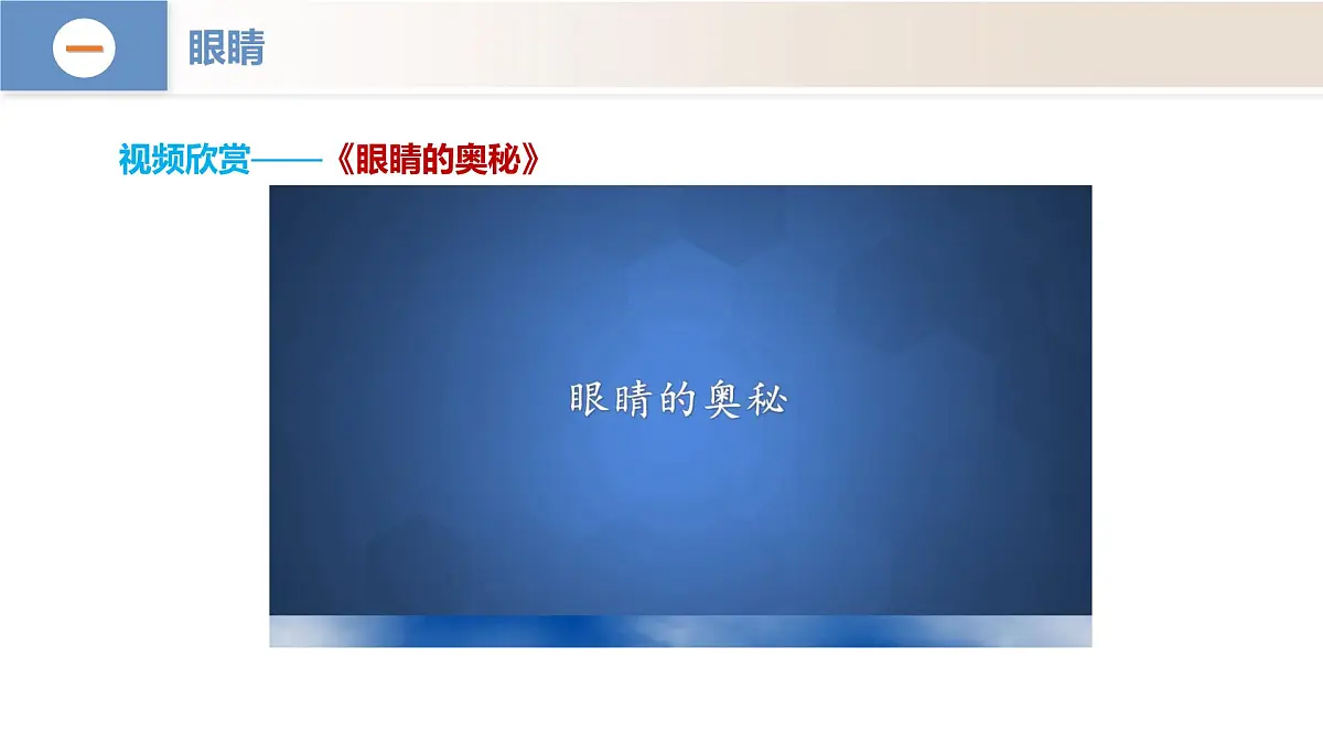 人教版2024八年级上册物理5.4 眼睛和眼镜（教学课件）第8页