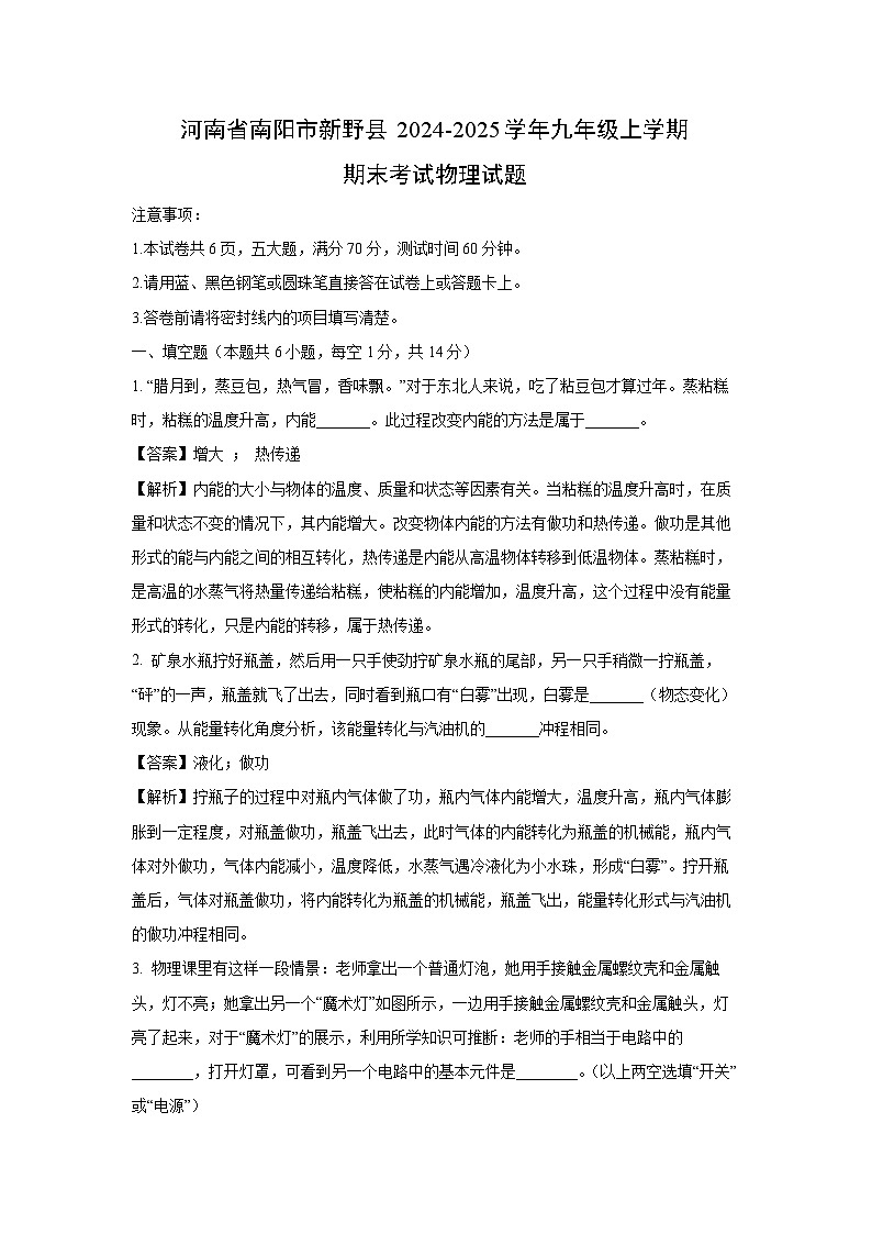 河南省南阳市新野县2024-2025学年九年级上学期期末物理试卷（解析版）第1页