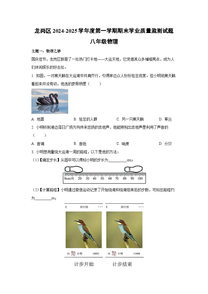 广东省深圳市龙岗区2024-2025学年八年级上学期期末考试物理试卷（解析版）第1页