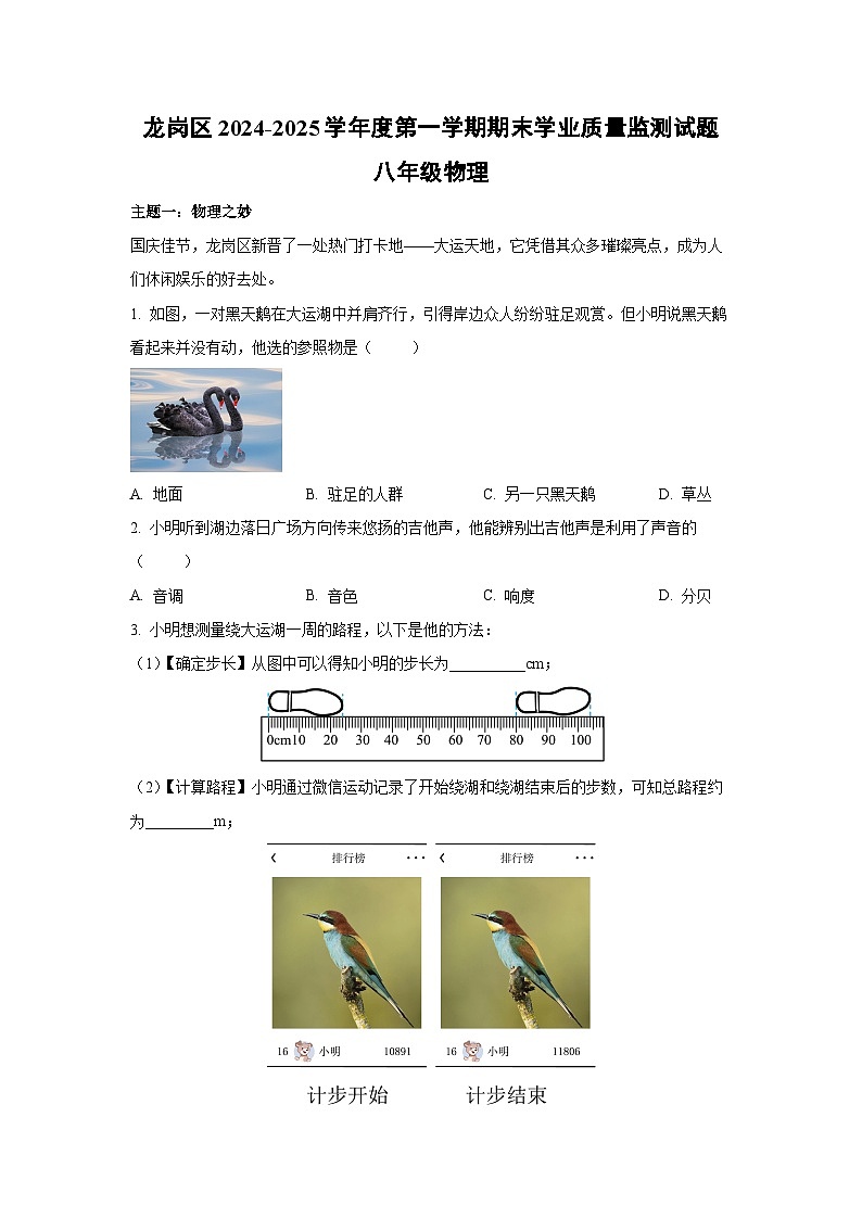 广东省深圳市龙岗区2024-2025学年八年级上学期期末考试物理试卷（解析版）第1页