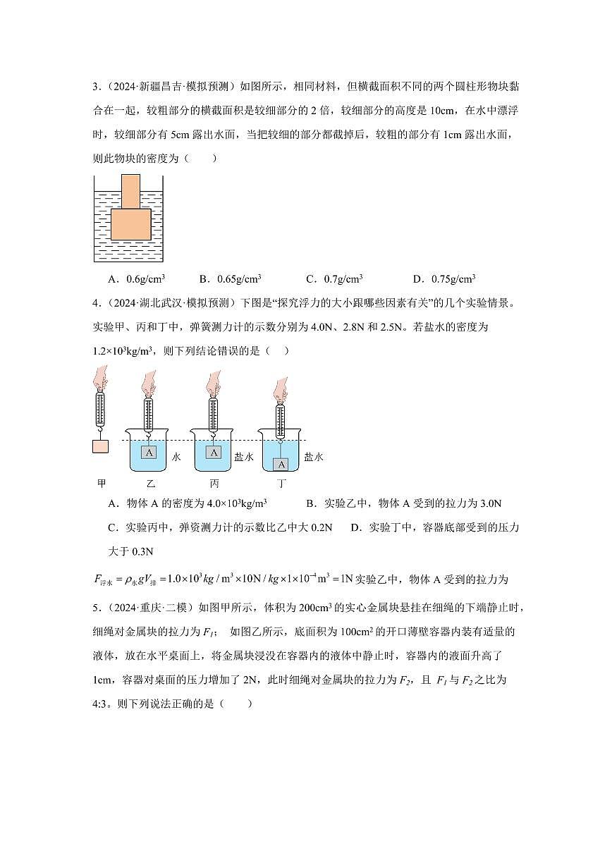 专题10 浮力 专项精练（原卷版）2025年中考物理一轮复习重难题型精讲精练（全国通用）[完整版]第2页