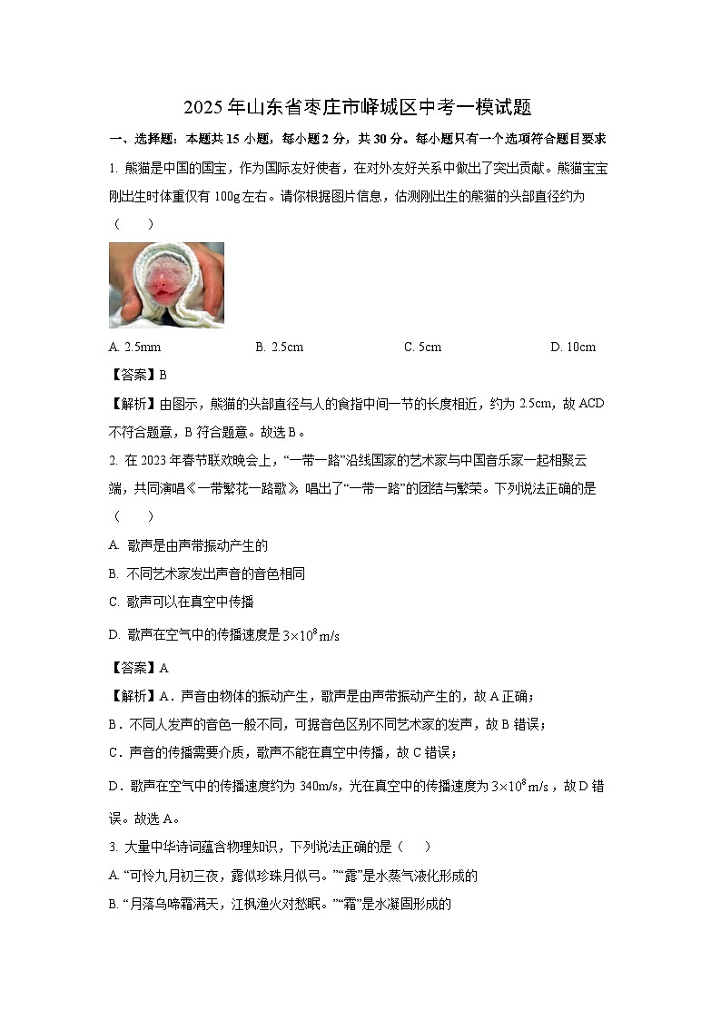 2025年山东省枣庄市峄城区中考一模物理试题（解析版）第1页