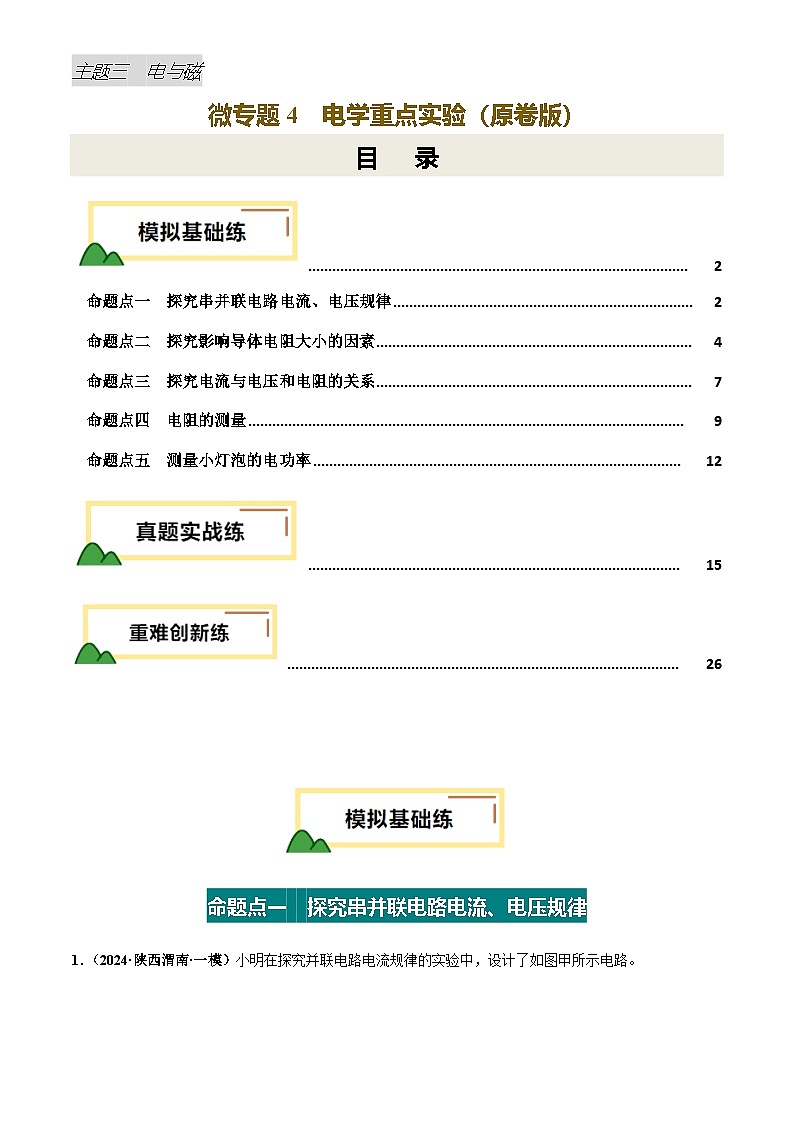 2025年中考物理电学微专题4  电学重点实验（练习）（原卷版）第1页