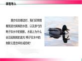 4.2+光的反射----2024-2025學(xué)年北師大版物理八年級上學(xué)期課件