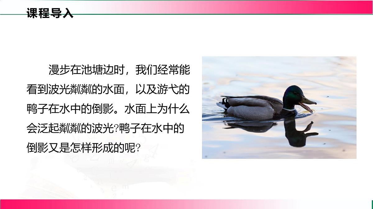 4.2+光的反射----2024-2025学年北师大版物理八年级上学期课件第3页