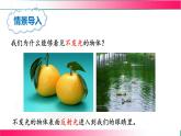 4.2+光的反射----2024-2025學(xué)年北師大版物理八年級上學(xué)期課件
