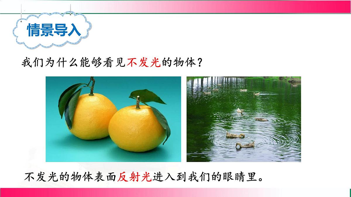 4.2+光的反射----2024-2025学年北师大版物理八年级上学期课件第5页