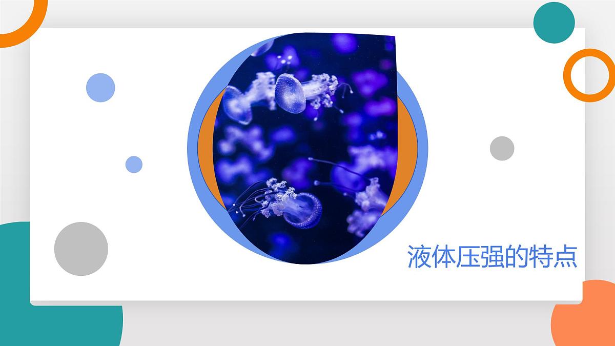 9.2+液体的压强(教学课件）2024－2025学年初中物理教科版（2024）八年级下册第5页