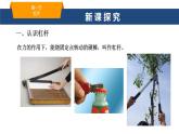 2025年春魯教版初中物理八年級(jí)下冊(cè)同步授課課件 第九章 簡(jiǎn)單機(jī)械  第一節(jié) 杠桿