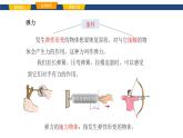 2025年春魯教版初中物理八年級(jí)下冊(cè)同步授課課件 第六章 力與運(yùn)動(dòng)  第二節(jié) 彈力