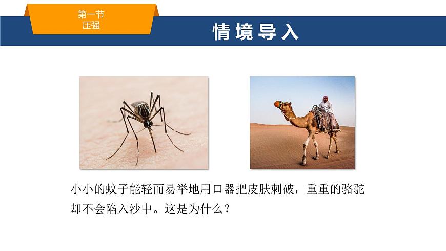 2025年春鲁教版初中物理八年级下册同步授课课件 第七章 压强  第一节 压强第2页