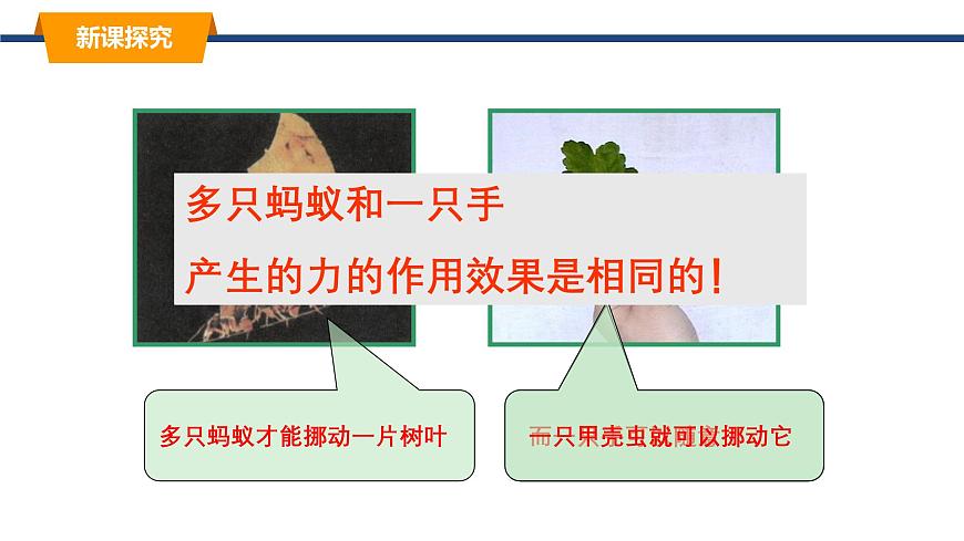2025年春教科版物理八年级下册同步授课课件 8_2_力的平衡（1）第3页