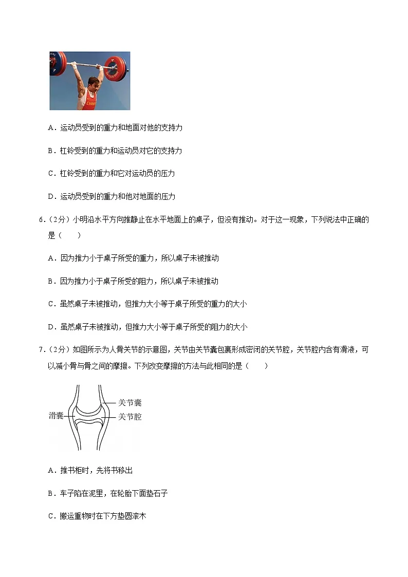 2024-2025学年山东省青岛大学附中八年级（下）期中物理试卷第2页