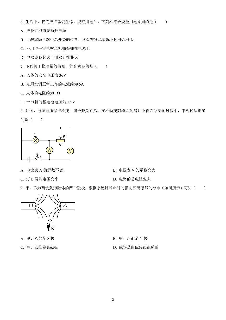 2025年江苏省扬州树人学校中考一模物理试题（原卷版）第2页