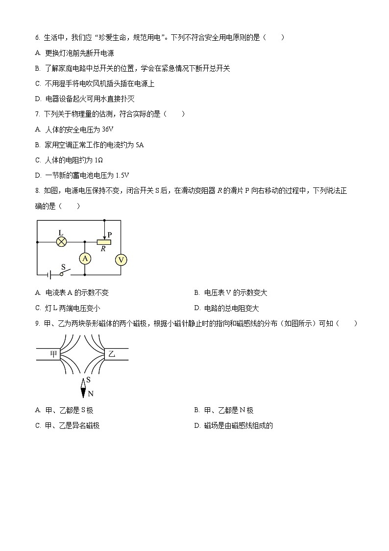 2025年江苏省扬州树人学校中考一模物理试题（原卷版）第2页