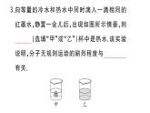 初中物理新人教版九年級(jí)全冊(cè)第十三章第二節(jié) 分子動(dòng)理論的初步知識(shí)作業(yè)課件2025秋