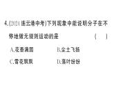 初中物理新人教版九年級(jí)全冊(cè)第十三章第二節(jié) 分子動(dòng)理論的初步知識(shí)作業(yè)課件2025秋