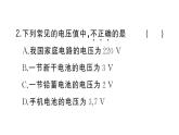 初中物理新人教版九年級全冊第十六章第一節(jié) 電壓作業(yè)課件2025秋