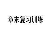 初中物理新人教版九年級全冊第十四章章末復習訓練作業(yè)課件2025秋