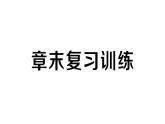 初中物理新人教版九年級全冊第十五章章末復(fù)習(xí)訓(xùn)練作業(yè)課件2025秋