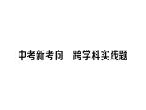 初中物理新人教版九年級全冊第十六章中考新考向 跨學科實踐題作業(yè)課件2025秋