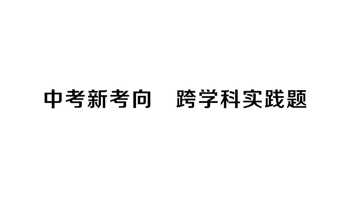 初中物理新人教版九年级全册第十六章中考新考向 跨学科实践题作业课件2025秋第1页